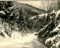 Unknown_Winter Date and exact location are unknown. Looks like a cold winter in Allegany County! Collection of Earl and Gladys Perkins Dickerson